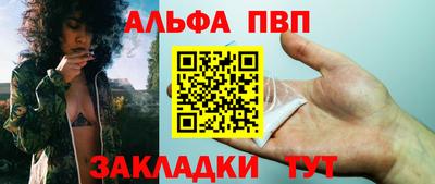 стафф Кингисепп
