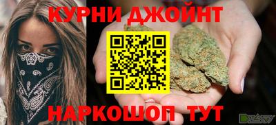 стафф Кингисепп