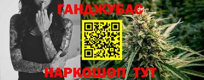 стафф Кингисепп