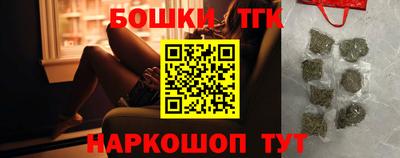 стафф Кингисепп