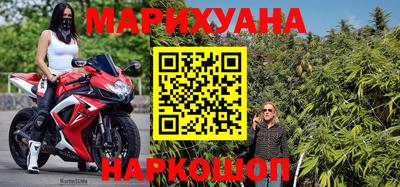 стафф Кингисепп