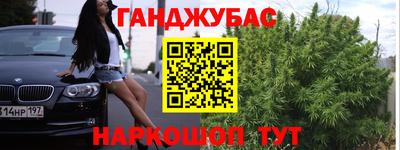 стафф Кингисепп