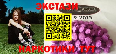 стафф Кингисепп
