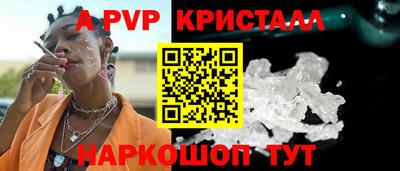 стафф Кингисепп