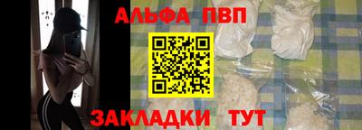 стафф Кингисепп