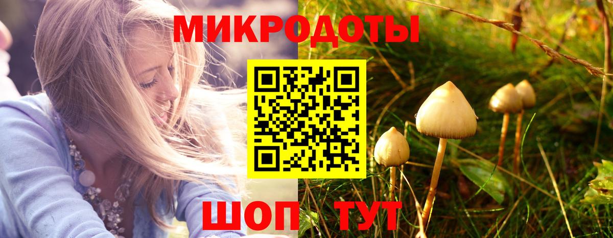 Галлюциногенные грибы мухоморы Красноармейск